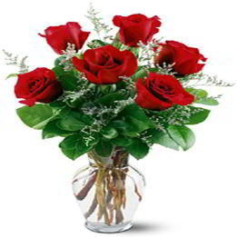 Basking Ridge Florist | Six Red Roses