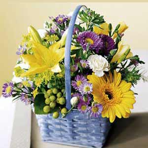Basking Ridge Florist | Beautiful Basket
