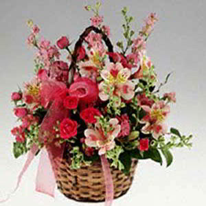 Basking Ridge Florist | Basket of Pinks