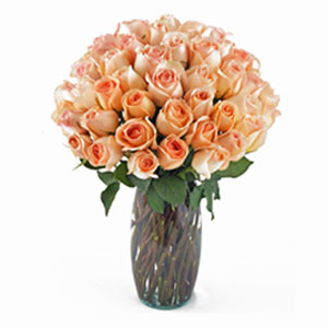Basking Ridge Florist | 36 Peach Roses