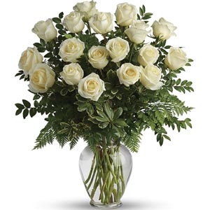 Basking Ridge Florist | 18 White Roses