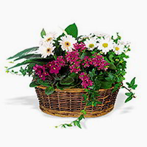 Basking Ridge Florist | Spring Garden