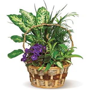 Basking Ridge Florist | Pretty Basket