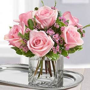 Brightview Warren  | 6 Pink Roses
