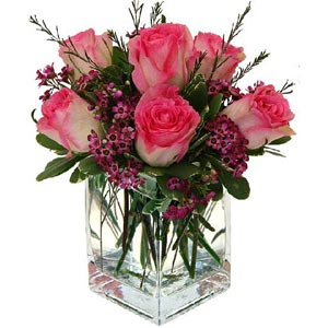 Overlook Medical Center  | 6 Two Tone Roses