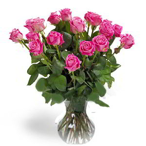 Basking Ridge Florist | 18 Pink Roses